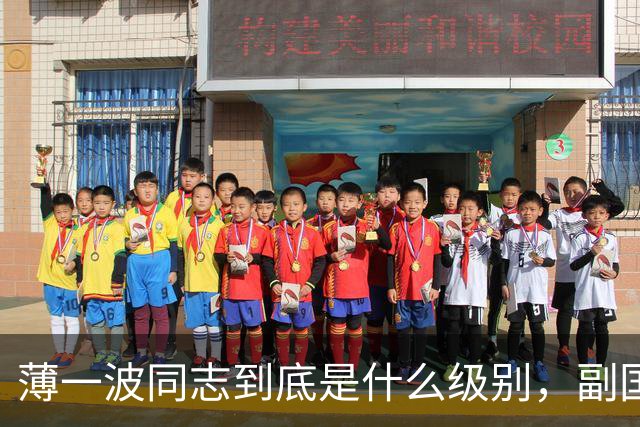 薄一波同志到底是什么级别，副国级？还是正国级？